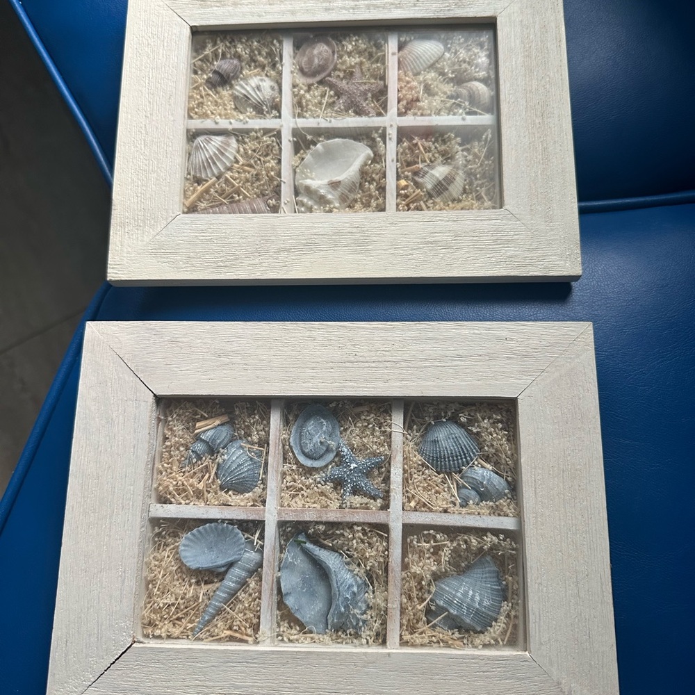 Seaside Shell Display Frame - Cream